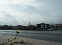 la tragica storia di alessio e martina un amore finito in tragedia 1748496406