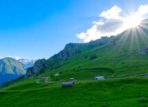 i migliori costumi e trucchi che trasformano i film 1774363014